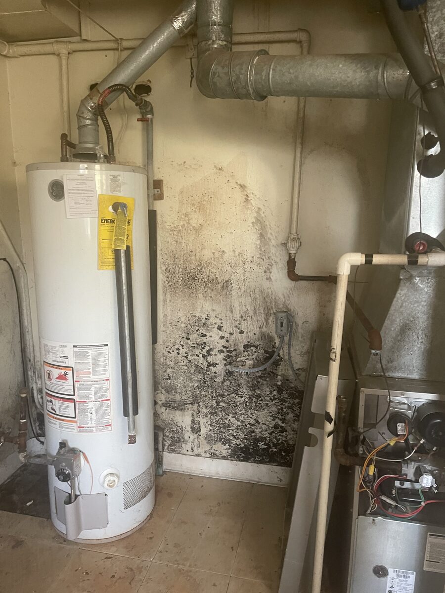 Mold and water damage behind a water heater and furnace