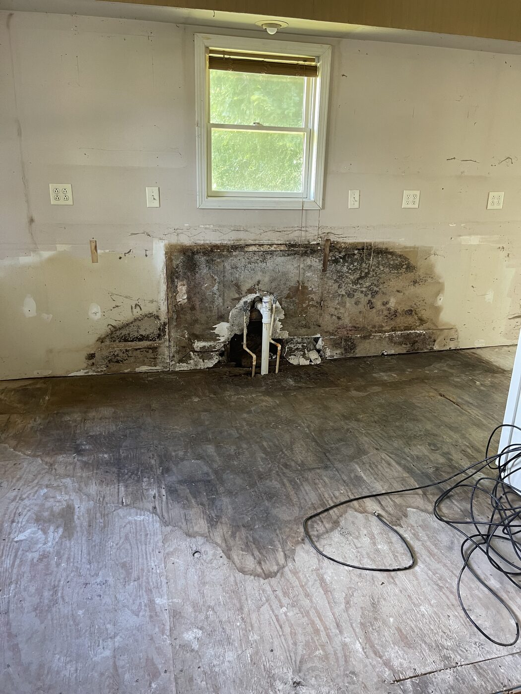 Mold damage on a demoed room wall