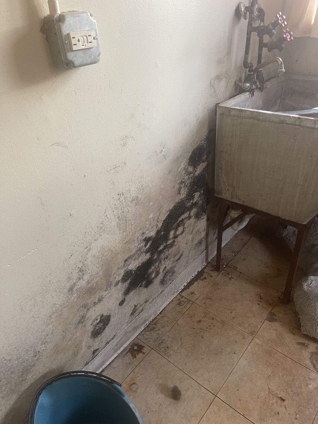 Mold at a utility sink
