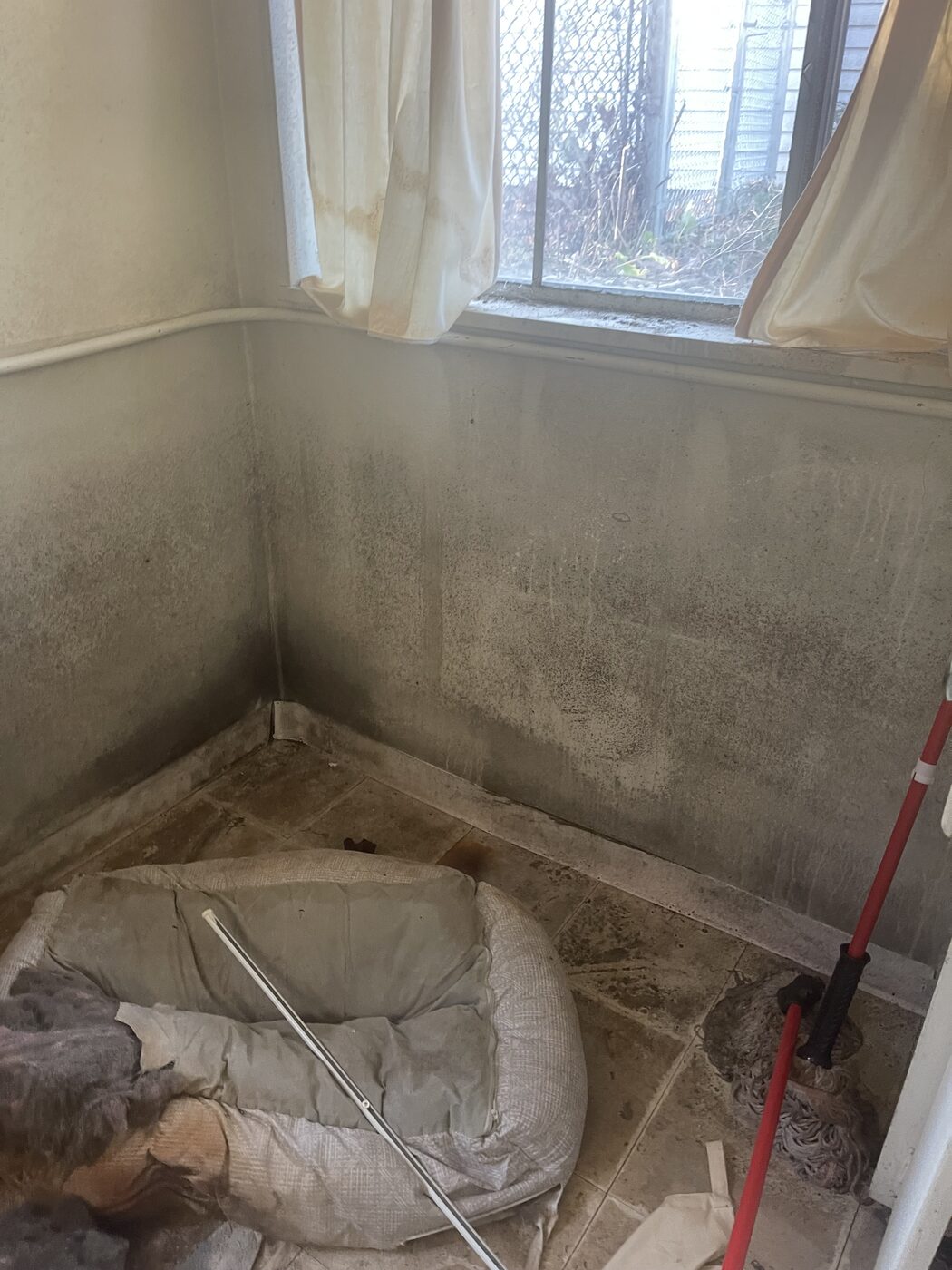 Mold in a bathroom corner